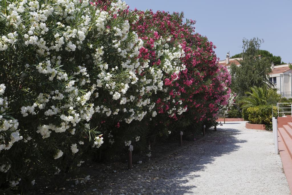 Vacanceole - Residence Las Motas Alenya Exterior photo